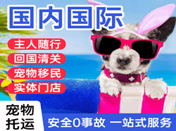 海口美兰机场快递国际宠物托运 【国